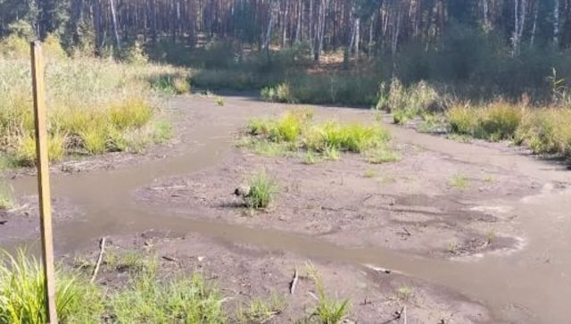 На Харьковщине зафиксировано рекордно раннее пересыхание болот