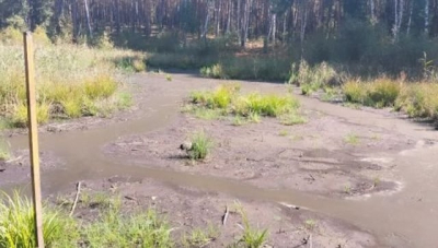 На Харьковщине зафиксировано рекордно раннее пересыхание болот