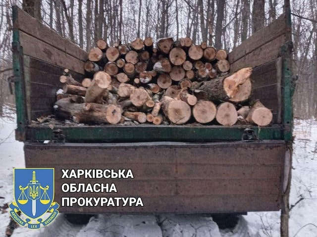 Оглашен приговор еще одному «черному лесорубу»