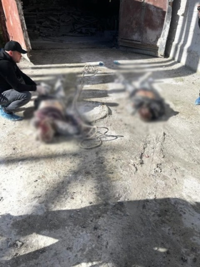 В Купянск-Узловом обнаружены тела замученных людей