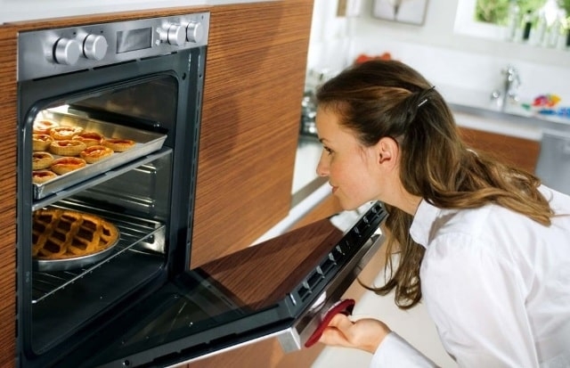 Какая духовка лучше: газовая или электрическая (обзор, фото)