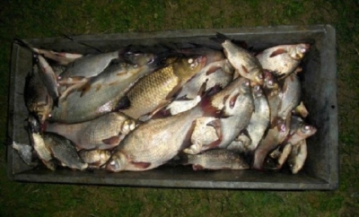 На Харьковщине задержали браконьера