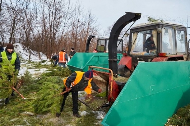 Харьковчане активно избавляются от новогодних елок