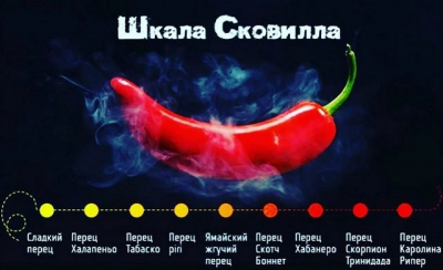 Что измеряет Шкала Сковилла: что это такое, как считается