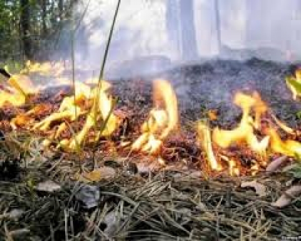 В Харькове период повышенной пожароопасности
