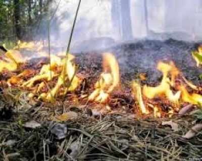 В Харькове период повышенной пожароопасности