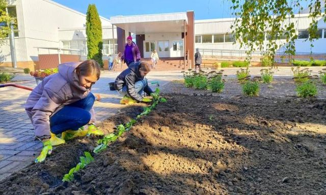 В Краснокутском лицее появился необычный газон