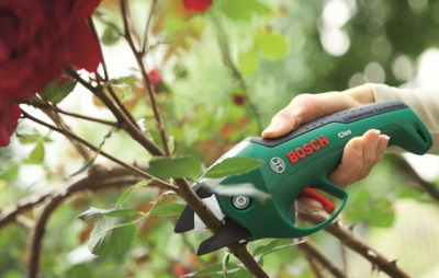 Аккумуляторные садовые секаторы: как выбрать и ухаживать за инструментом