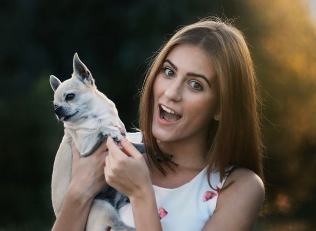 Как рассчитать бюджет на содержание собаки