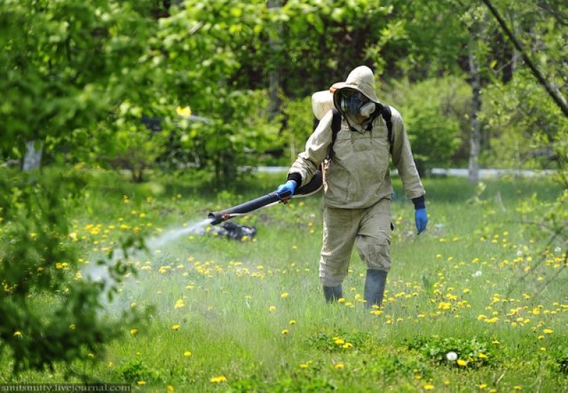 Харьковчане требуют от власти бороться с популяцией клещей