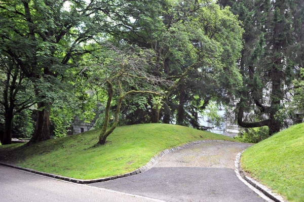 В Харьковской области создадут ландшафтный парк