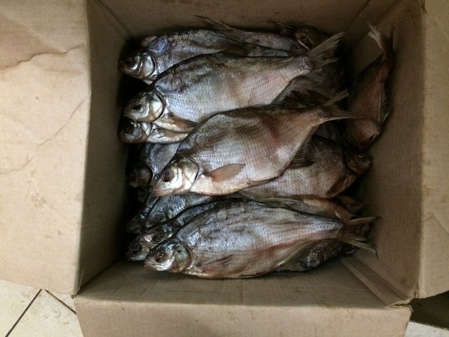 Оптовые базы, занимающиеся реализацией рыбы, будут тщательно проверены