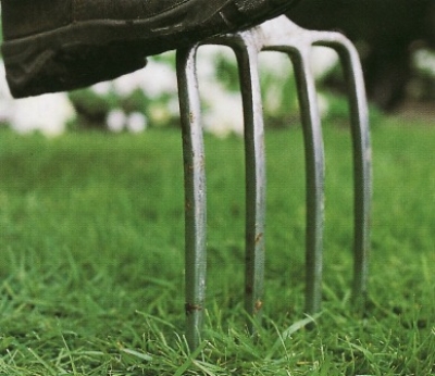 Мужчина набросился с вилами на бывшего зятя