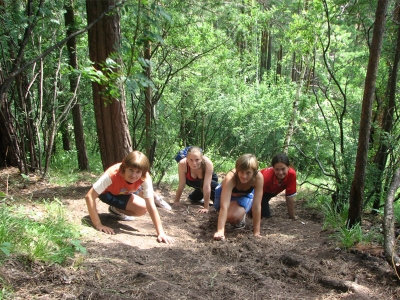Область готовится к лету
