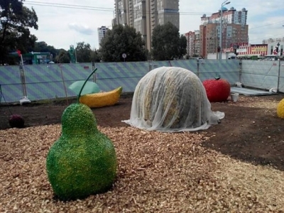 В центре Харькова «созрели» огромные фрукты (фотофакт)