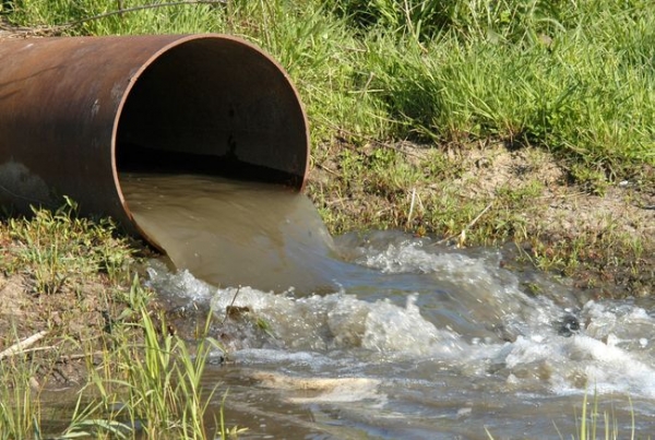 Техническое озеро «Зеленка» загрязняют мусором
