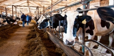 Изменят формат проекта "Деревня будущего"