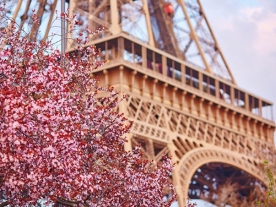 В Харькове готовятся к «Французской весне»