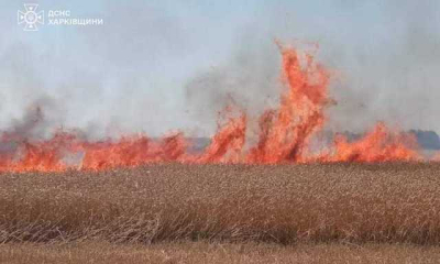 Россияне обстреляли комбайн, собиравший урожай, сгорела пшеница