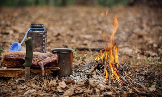 Как выжить в дикой природе – полезный проект реализуют на Харьковщине