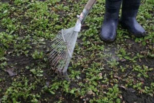 Продолжается акция «За чисте довкілля»