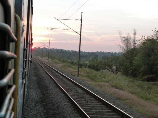 Поезда кишат тараканами