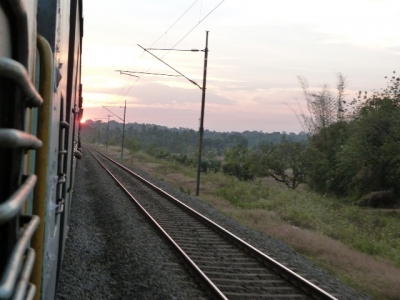 Поезда кишат тараканами