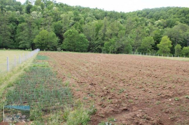 В Изюмском районе обнаружены земельные участки, незаконно переданные местному фермеру