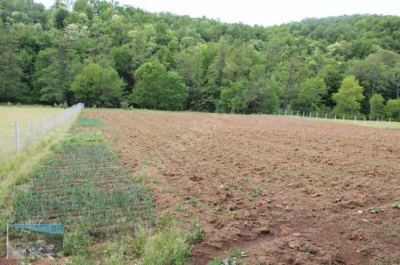 В Изюмском районе обнаружены земельные участки, незаконно переданные местному фермеру