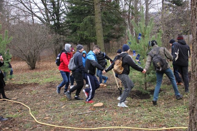 В честь юбилея вуза в ХНУ им. Каразина посадили 215 деревьев