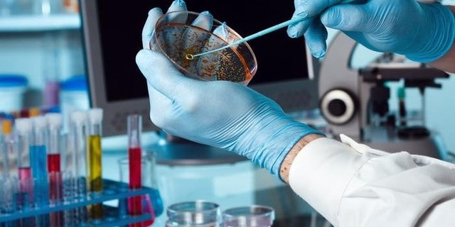 Студент из Конго госпитализирован в больницу с малярией