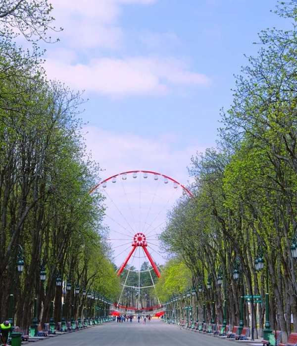 План развития парка им. Горького