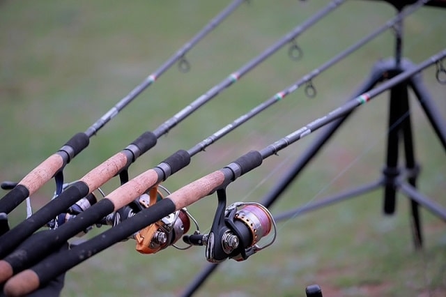 Фидерное удилище: что это такое, особенности, как выбрать
