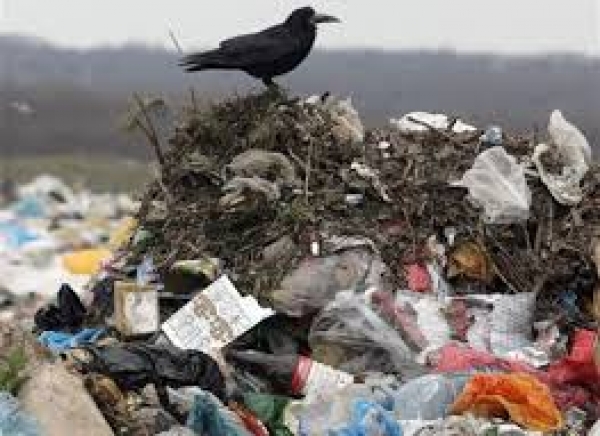 Всемирный банк инвестирует в КП Харькова