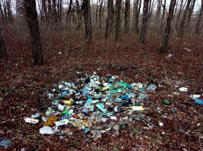Территория Алексеевского лесопарка завалена мусором