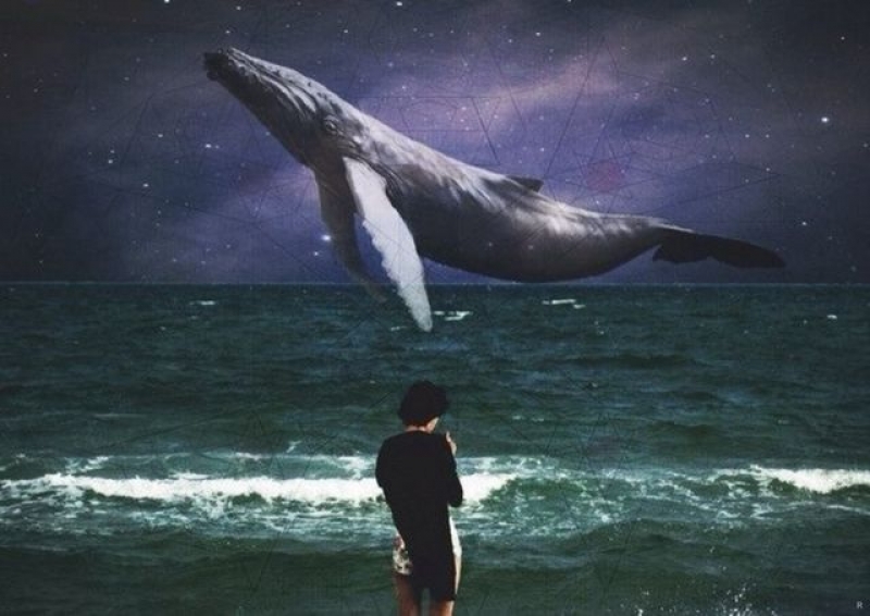 В Харькове спасли еще одного «синего кита»