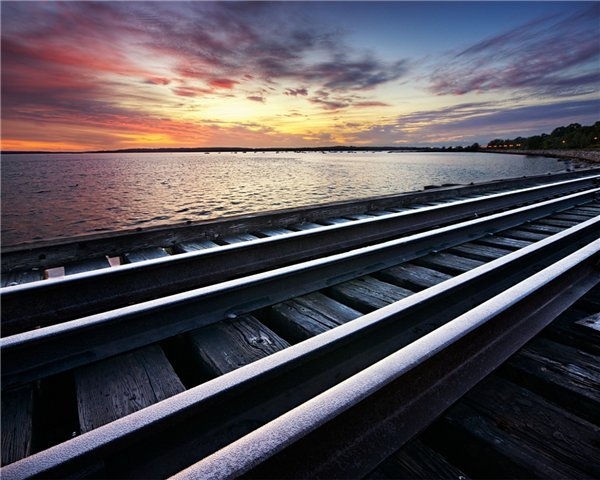 Железных жителей моря представили на выставке