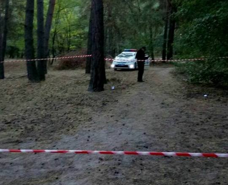 В Харькове наркоманы сбили патрульного, дабы задержать их – копы открыли огонь