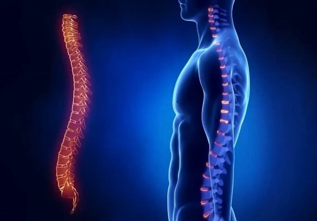 Вертебрология: что это такое, методы лечения