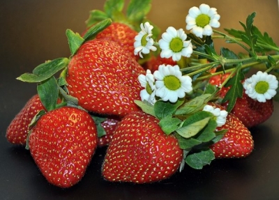 В Изюме будет сладко!