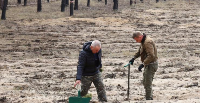 Сотрудники лесничеств на Харьковщине в этом году стали зарабатывать больше