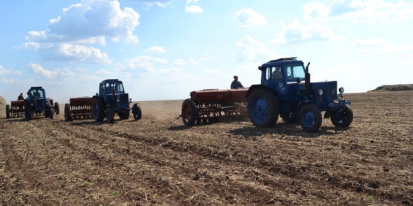 В области проходит посев ранних зерновых