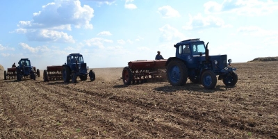 В области проходит посев ранних зерновых