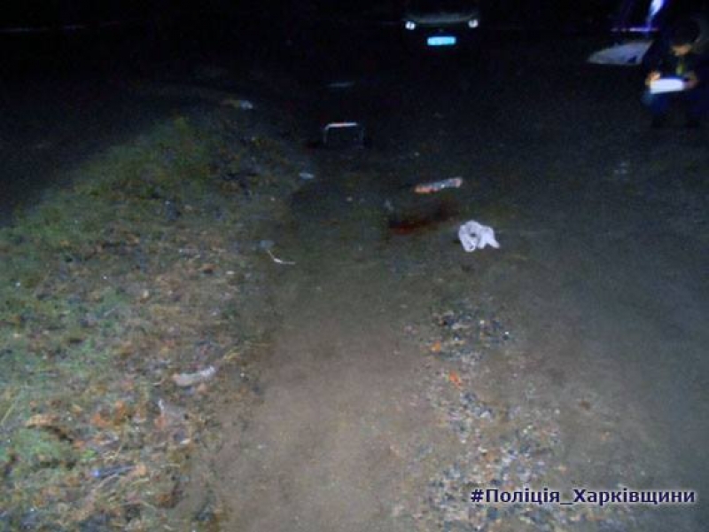 Под Харьковом двое студентов совершили налет