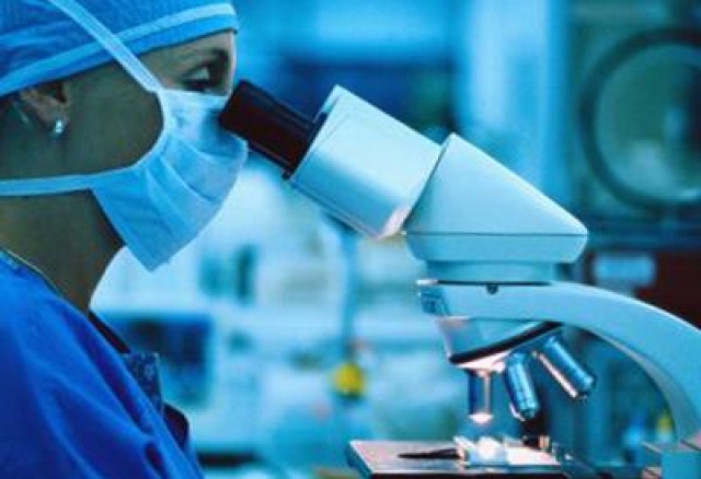 Жительница Харькова скончалась от малярии – болезнь обнаружили слишком поздно