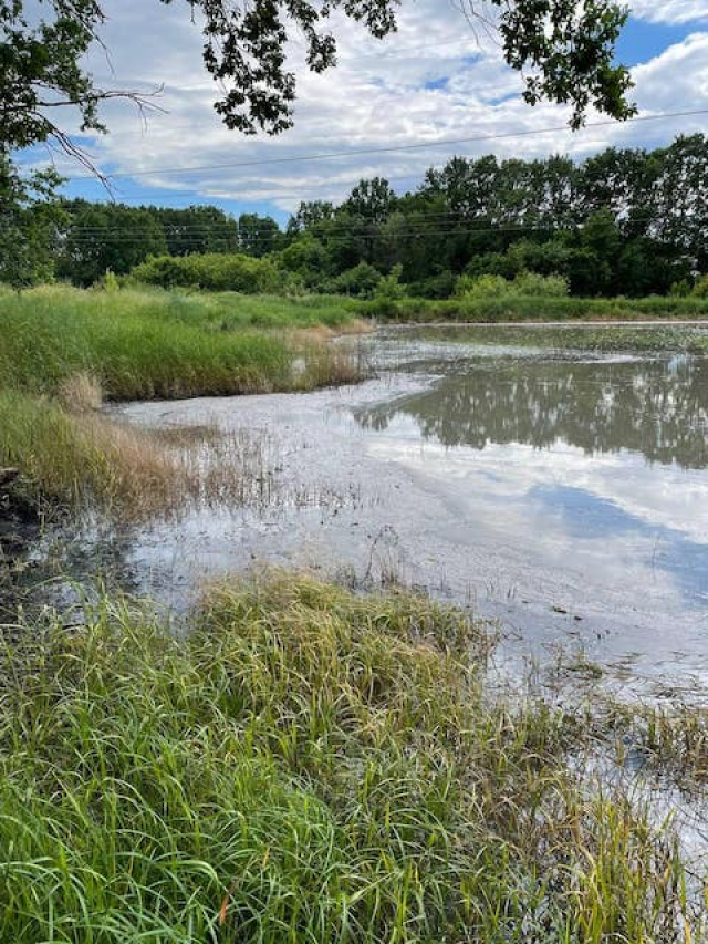 Озеро у Докучаевска превратилось в зловонный водоем