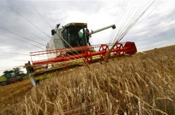 Аграрии рискуют остаться на мели