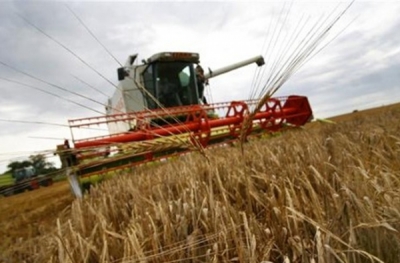 Аграрии рискуют остаться на мели