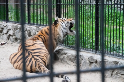В зоопарке развеяли слухи