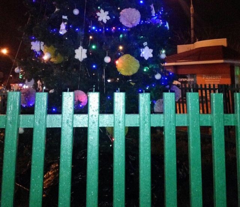 Елку на Холодной горе отгородили высоким забором с гвоздями (фотофакт)